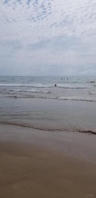 2 Bed 1 Bath Condo By Beach & Entertainment 南帕诸岛 外观 照片
